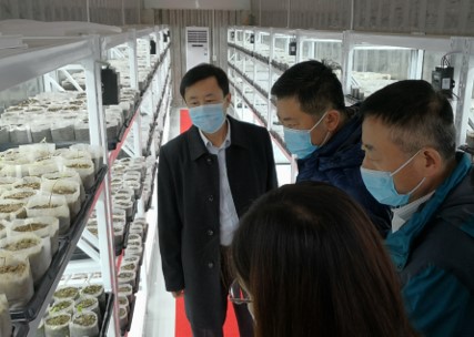 ���˹���-׷�󿵽�,����һ������