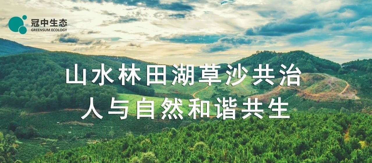 ˹