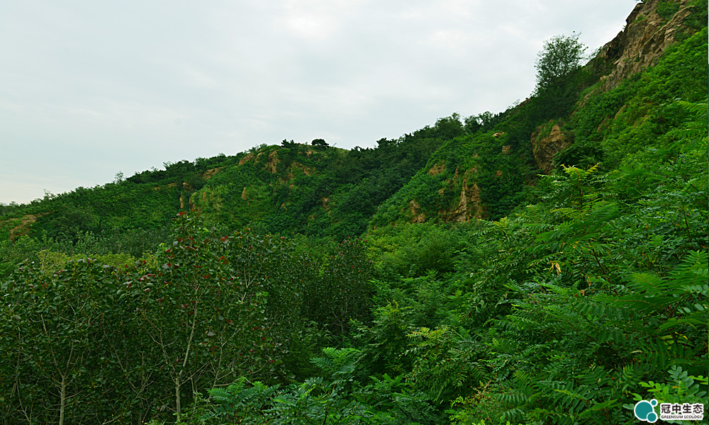 ��ʯ���޸�