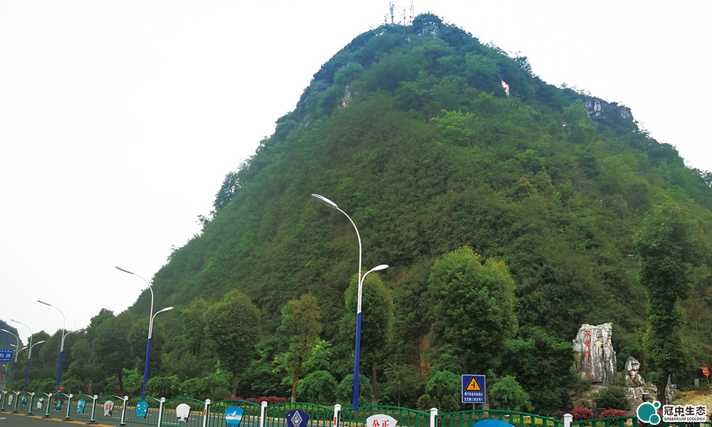 ��˳ɽ���޸�