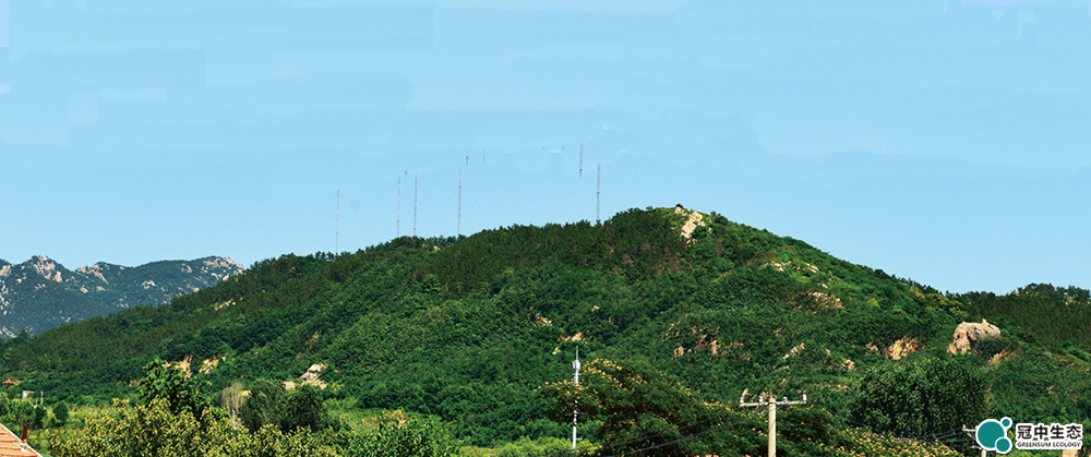 ��ɽ����