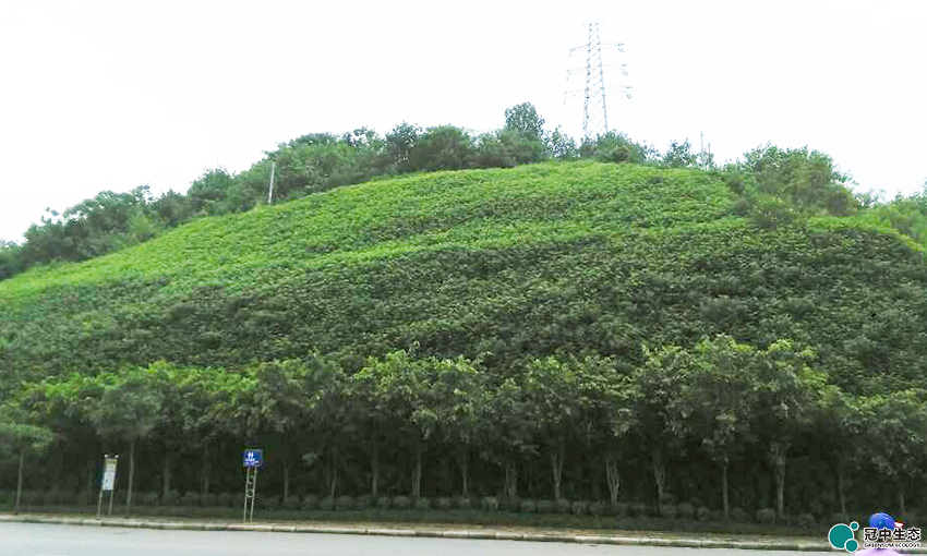 ��������������̬�޸�